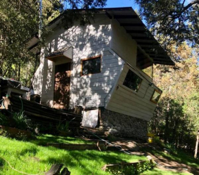 Cabaña Huillin, Experiencia única del Bosque